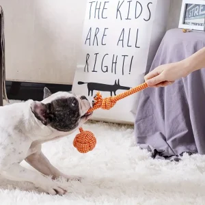 Alternative view of Doggy™ Durable Dog Chew Toy for Teeth Cleaning